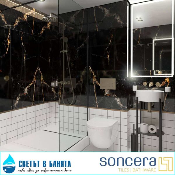 Ambiente Vience Black 60x120.jpg